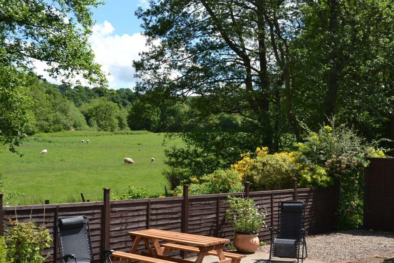 Вилла Arrowwood Self Catering Кингтон Экстерьер фото
