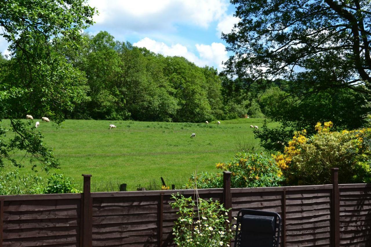 Вилла Arrowwood Self Catering Кингтон Экстерьер фото